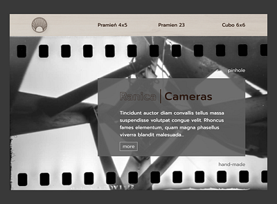 Website design of pinhole cameras landing ui ux ui web ux web webdesign website