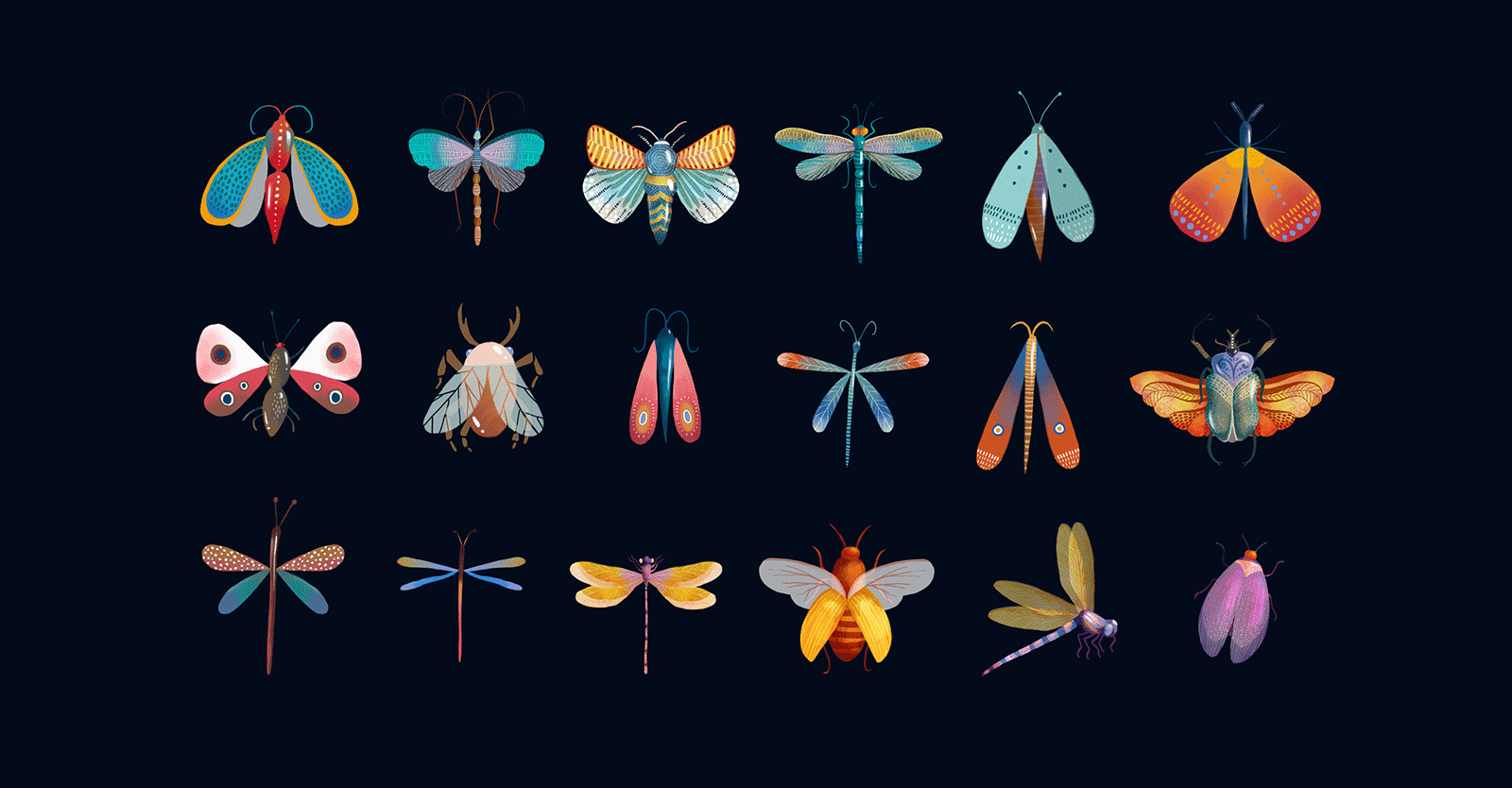 Insects by olga on dribbble