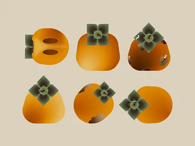 Kinglet persimmons adobe illustrator autumn colors colourful colours creative design fruits geometric graphic design illustration mood shapes texture worm