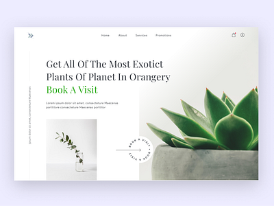 Orangery eCommerce Landing Page brand branding ecommerce landing page online store plants product product page service shopify ui ux