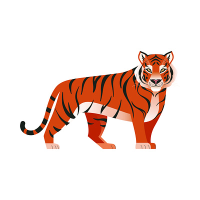 Tiger 2022 animal cat design illustration new year orange striped tiger vector wild cat