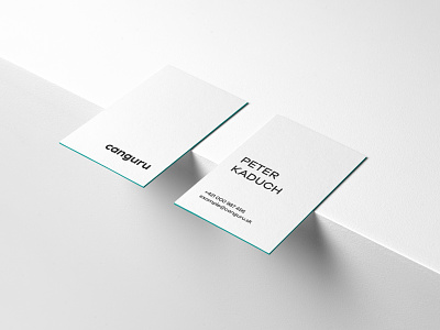 Business card Canguru branding business card graphic design logo