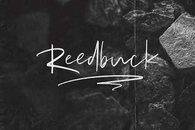 Reedbuck - Brush Script Font by Awanstudioz awanstudioz calligraphy cursive font handlettering handwritten lettering letters script font script lettering textured font typography