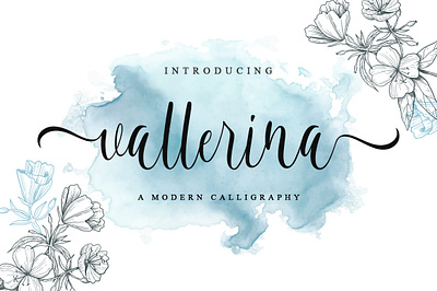 vallerina script banner