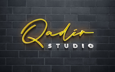 Qadir Studio branding logo logo design studio vector