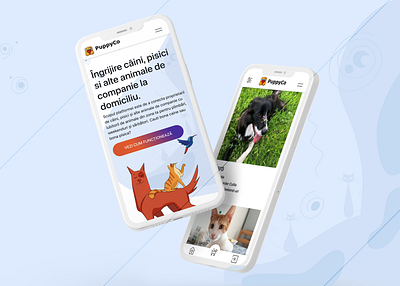 Puppyco.ro UX/UI Design animals app branding cat caring design graphic design illustration logo pet app pet caring photoshop product design puppy typography ui uidesign user interface ux ux design vector