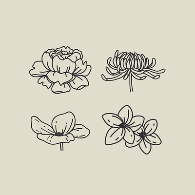 Flower icons anemone art chrysanthemum daisy design flowers icon illustration line little logo peony procreate simple