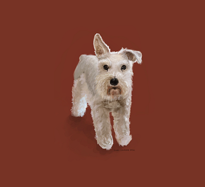 Finley animal illustration design designdogs dogs illustration pets