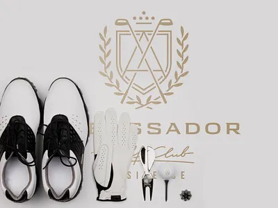 Ambassador branding design graphic design illustration logo logoped logotype mark motion graphics russia symbol ui