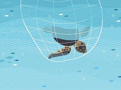 Turtle aftereffects animación animation design fish flat illustration illustrator sea stuck turtle