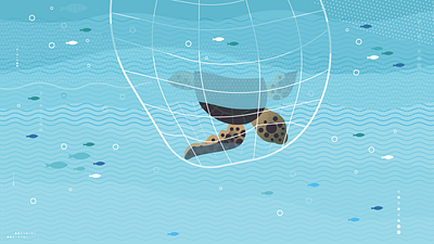 Turtle aftereffects animación animation design fish flat illustration illustrator sea stuck turtle