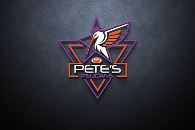 PELICANS Bird Logo a pelican logo branding design graphic design illustration logo pelican logo brand pelican logo design