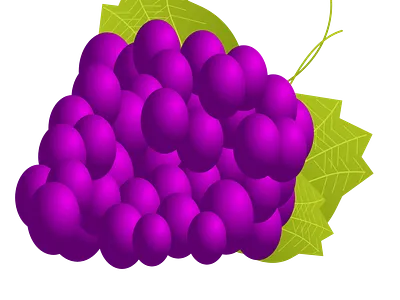 Grapes illustration healthy