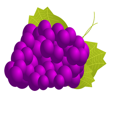 Grapes illustration healthy