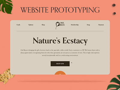 COLLEGE PROJECT : PRODUCT DESIGN | OWL BEAN animation art concept design illustrator interaction interactive design logo mood motion graphics prototype ui ux web design