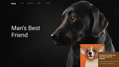 landing Page For Benji demo design graphic design landindpage ui ux website