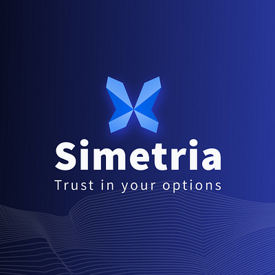 Simetria Brand branding graphic design logo motion graphics ui