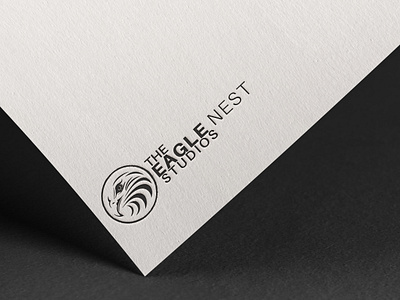 The Eagle Nest Studios branding creative design illustration logo photography