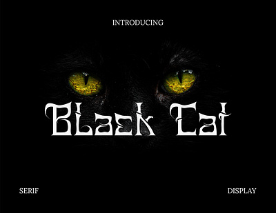 Black Cat Font display display font font handwritten handwritten font lettering typeface