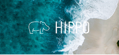 Hippo Travel App adobe branding design graphic design illustration logo product design travel app concept ui ux uxui vector