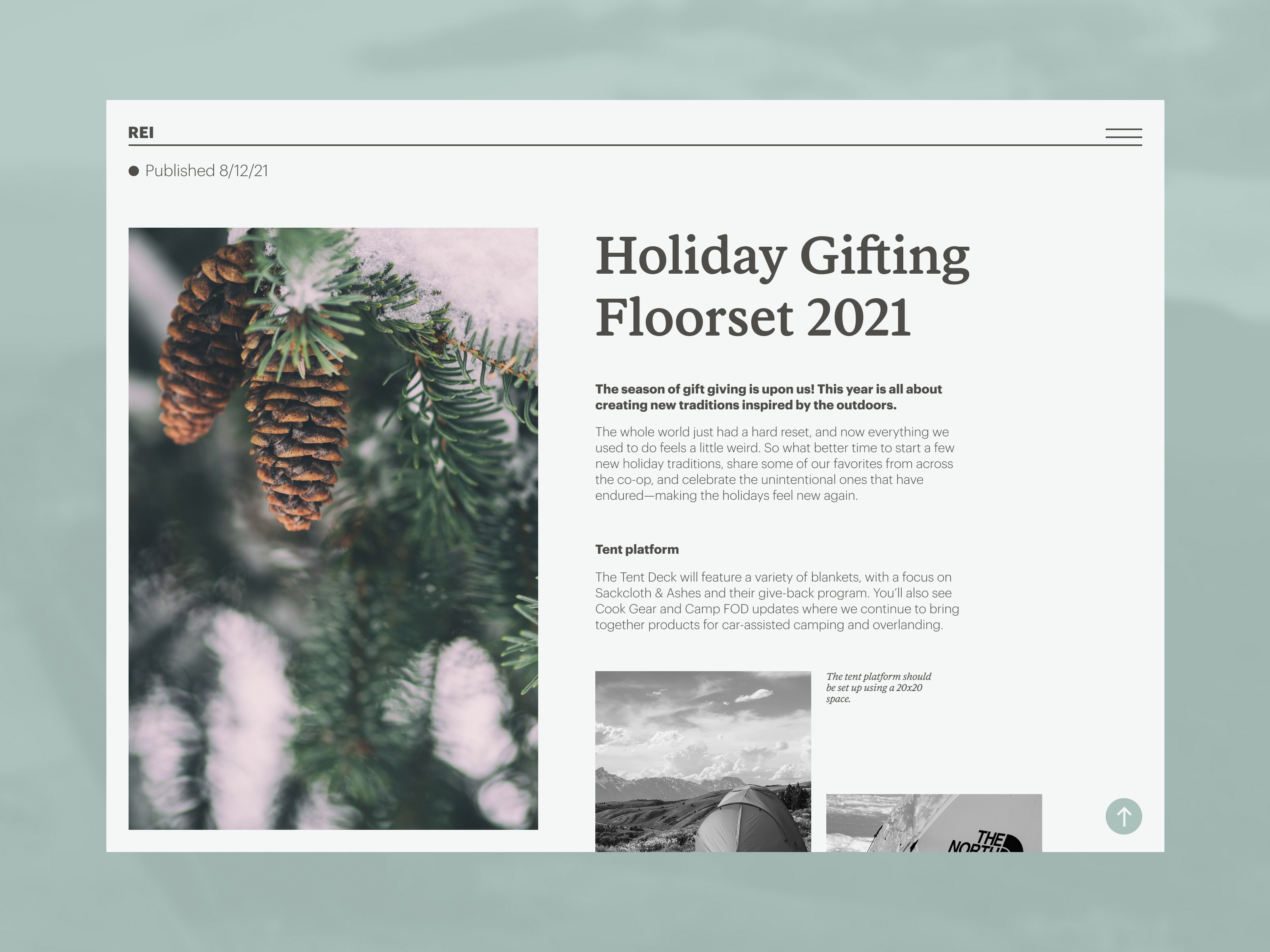 Example of REI Visual Merchandising Web App (03)