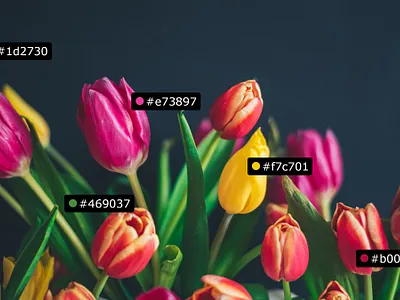 Specs - Color Annotation Example annotation color color hex colors hex photoshop plugin psd specs tulips uxp