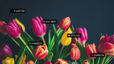 Specs - Color Annotation Example annotation color color hex colors hex photoshop plugin psd specs tulips uxp