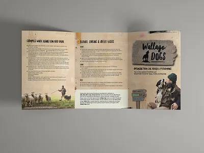 Trifold Brochure A4 - Animal Health Project animal health booklet branding branding guidelines design dog graphic design gritty grundge illustration indesign organic photoshop retro