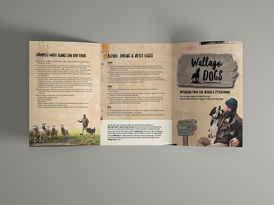 Trifold Brochure A4 - Animal Health Project animal health booklet branding branding guidelines design dog graphic design gritty grundge illustration indesign organic photoshop retro