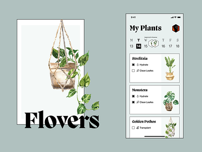 Flovers - Take Care Of Them app brutalism calendar design details feed flowers home illustration mobile nomtek plants reminder task to do todo todoist ui ux wroclaw