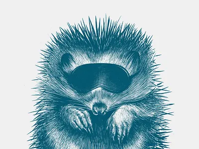 Do Not Disturb the Hedgehog design drawing illustration