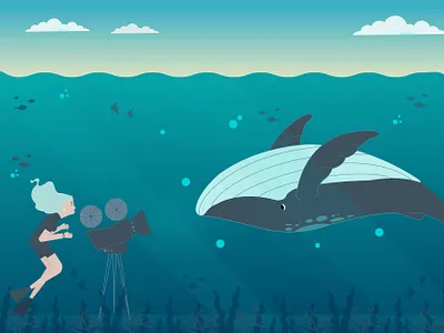 Whale watching aftereffects design drawing humpback illustration illustrator logo motiongraphics vector whale