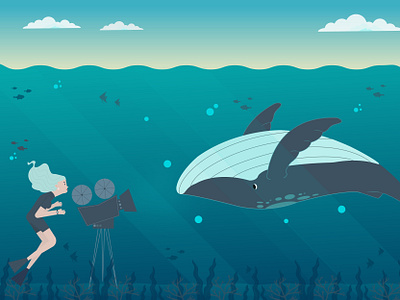 Whale watching aftereffects design drawing humpback illustration illustrator logo motiongraphics vector whale