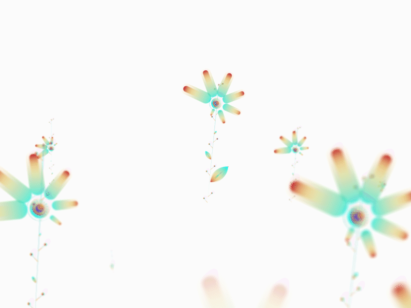 Gradient Flower Animation animation art blackonewhitegk concept firebeez illustration illustrator motion motion graphics