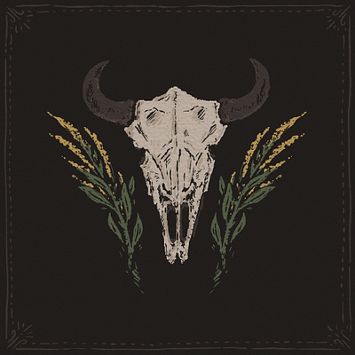 Spirit of the Plains bison buffalo design drawing great plains hand drawn illustration joe horacek little mountain print shoppe midwest procreate roam sketch skull
