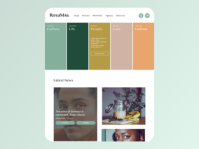 RosaMag product design ui ux design web design