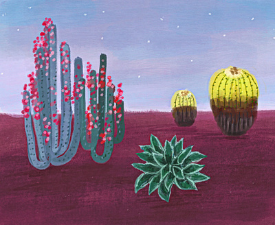 Desert Vibes desert illustration design illustration landscape procreate