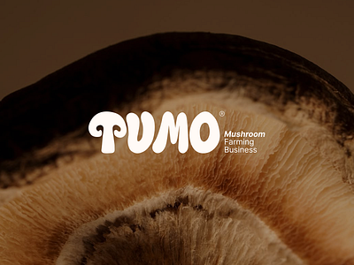 Tumo - Mushroom Farming business Branding® adobe illustrator brand design brand identity branding colorful creative logo design illustration isual identity logo design mushroom packaging photoshop socialmedia typography