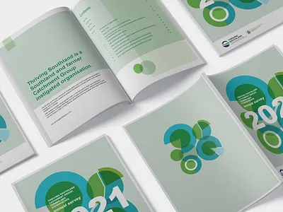 Annual Survey report art direction art director creative director digital design graphic design illustration layout design print design statistics