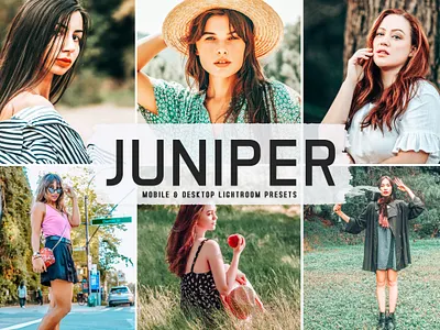 Juniper Mobile & Desktop Lightroom Presets modern presets