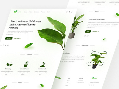 PLANTO app flower footer greenhouse header landing landing page ligte ligte mode minimal minimal design plant scan ui ui design ux ux design web website