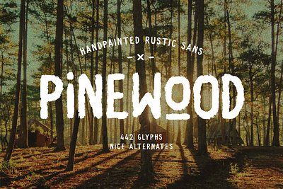Pine Wood - Handpainted Rustic Sans branding brush creative market font graphic design handpainted logo logo design sans type design typeface typography