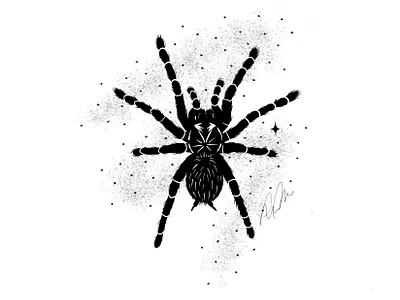 Tarantula animal halloween illustration inktober procreate spider