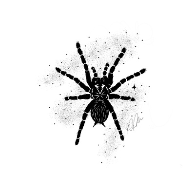 Tarantula animal halloween illustration inktober procreate spider
