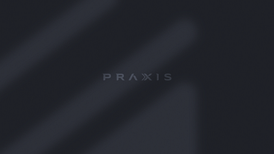 Práxis | Brand & Visual Identity 01 brand brand design branding branding concept branding design business consulting design illustration logo ui vector