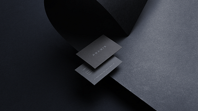 Práxis | Brand & Visual Identity 03 brand brand design branding branding concept branding design business consulting design illustration logo ui vector
