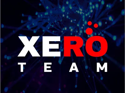 Xero Team IT logo design graphic design illustration logo vector