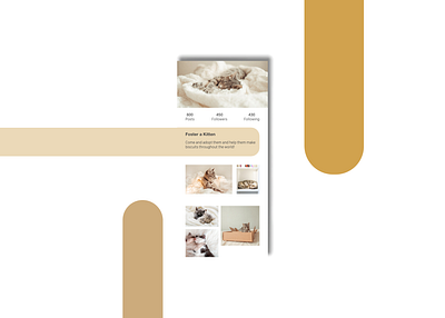 Daily UI 006 006 app branding cats dailyui design foster graphic design illustration kittens logo profile profile page social media ui ui006 ux