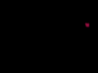Animated Logo animated logo animation design intro logo logo intro logo reveal ui