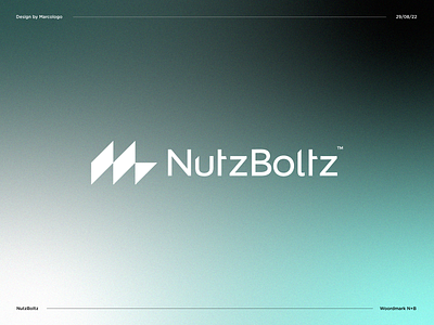 NutzBoltz Visual Identity branding clean design gradient logo icon identity illustration logo minimal online logo seo logo ui
